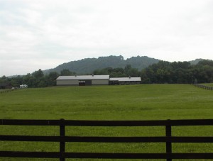 Haag Equestrian