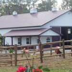 Equestrian Buildings